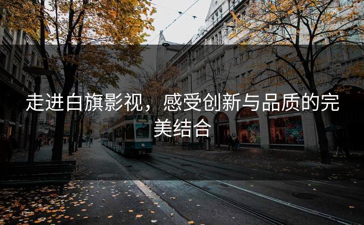 走进白旗影视，感受创新与品质的完美结合
