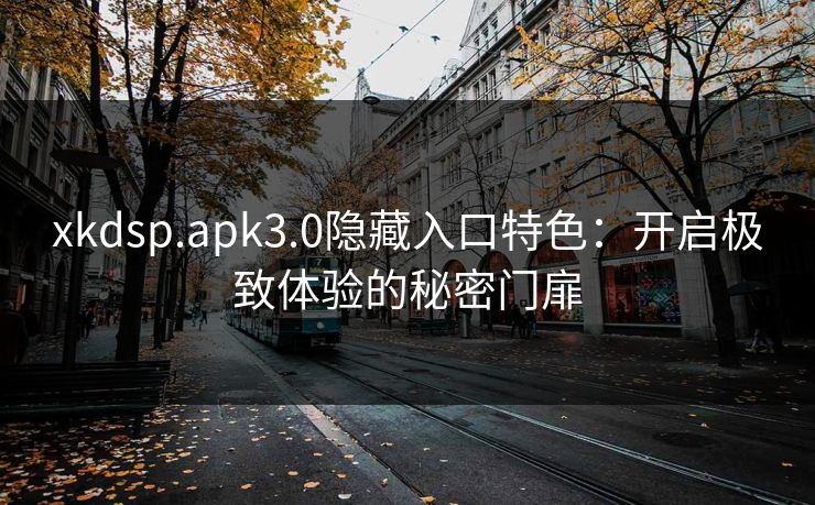xkdsp.apk3.0隐藏入口特色：开启极致体验的秘密门扉