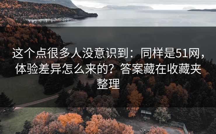 这个点很多人没意识到：同样是51网，体验差异怎么来的？答案藏在收藏夹整理